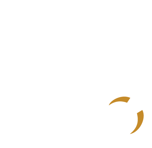 Real Vision 360